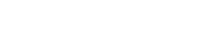 Tech Celerity Global Solutions